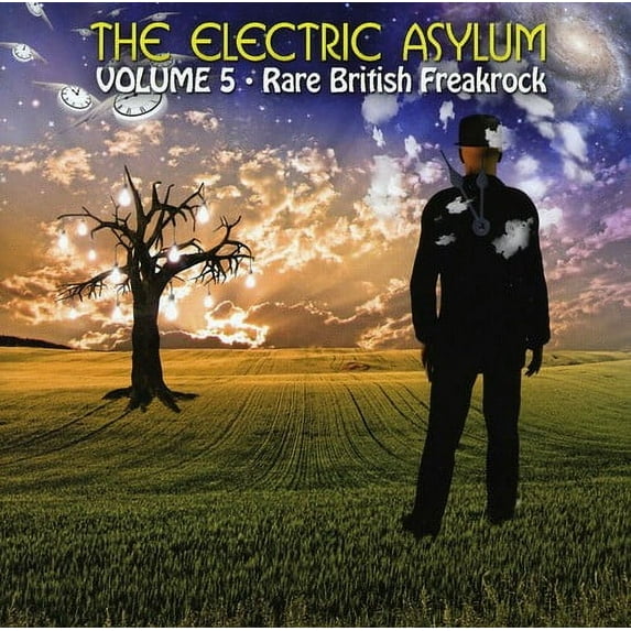 Various Artists - Electric Asylum, Vol. 5: Rare British Freakrock - Rock - CD