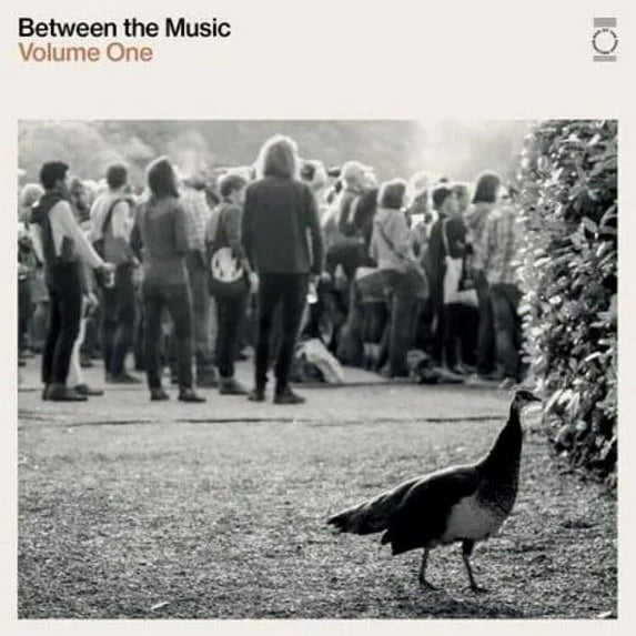 Various Artists - End Of The Road Presents: Between The Music / Various - White Colored Vinyl - Music & Performance
