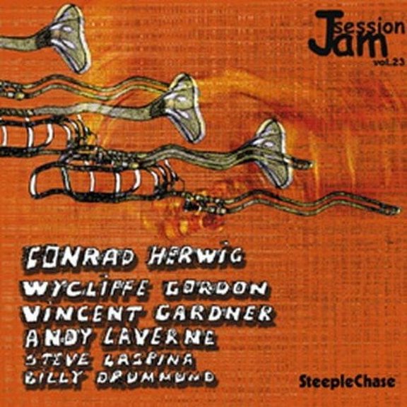 Various Artists - Jam Session, Vol. 23 - Music & Performance - CD
