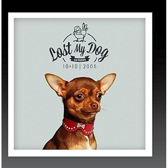 Various Artists - Lost My Dog 10 x 10 - 2005 - Electronica - CD