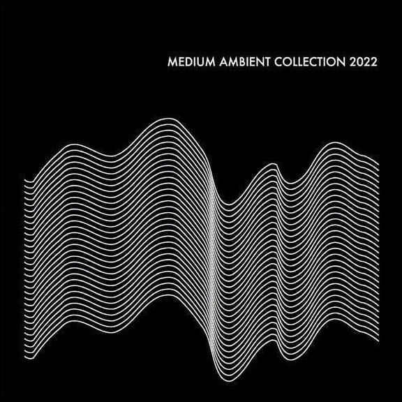 Various Artists - Medium Ambient Collection 2022 Black / Various - Music & Performance - Vinyl