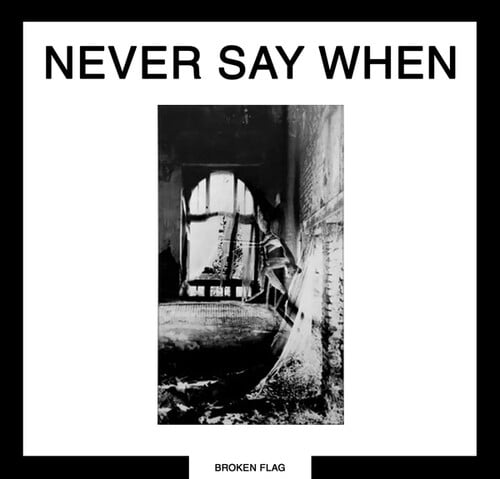 Various Artists - Never Say When - Music & Performance - Vinyl