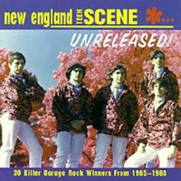 Various Artists - New England Teen Scene: Unreleased 1965-1968 - Rock N' Roll Oldies - CD