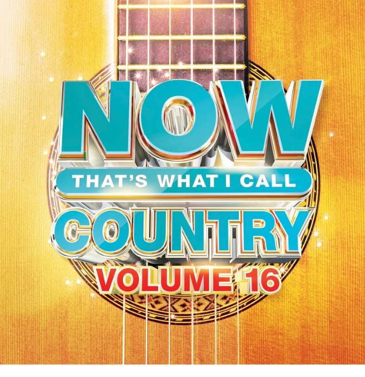 Various Artists - Now Country 16 (Various Artists) - Music & Performance - CD