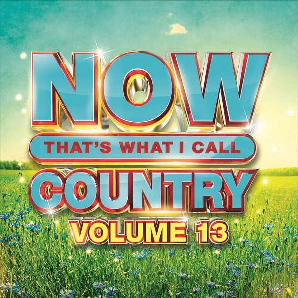 Various Artists - Now That's What I Call Country, Volume 13 - Country - CD