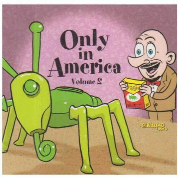 Various Artists - Only In America, Vol. 2 - Rock - CD