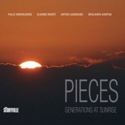 Various Artists - Pieces - Music & Performance - CD