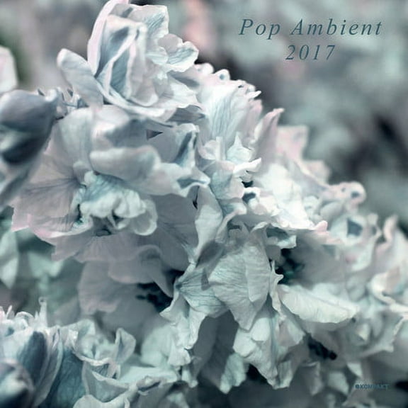Various Artists - Pop Ambient 2017 / Various - Electronica - Vinyl