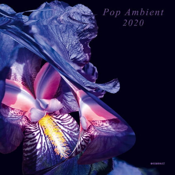 Various Artists - Pop Ambient 2020 (Various Artists) - Music & Performance - CD