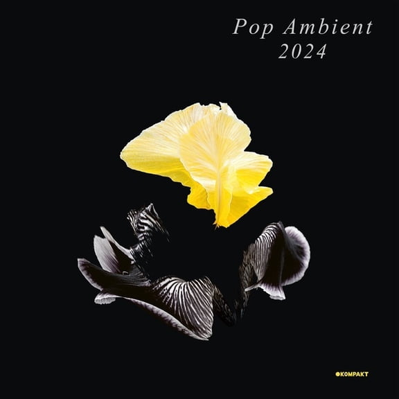 Various Artists - Pop Ambient 2024 - Music & Performance - CD