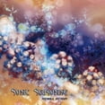 thumbnail image 1 of Various Artists - Sonic Seasoning / Various - CD, 1 of 1