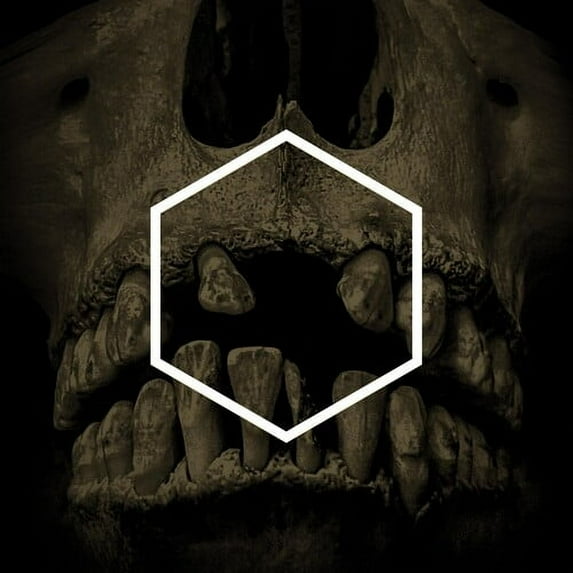 Various Artists - The Others (Lustword Deconstructed) (Various Artists) - Music & Performance - Vinyl