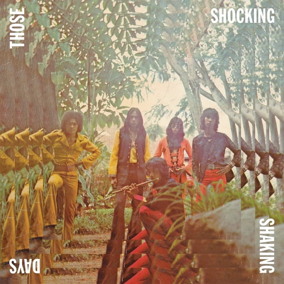 Various Artists - Those Shocking Shaking Days - Music & Performance - Vinyl