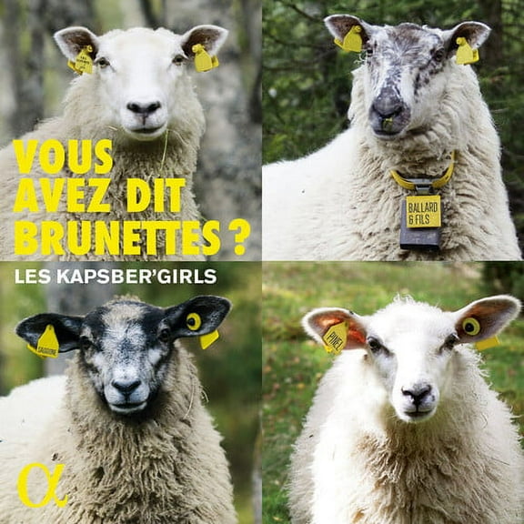 Various Artists - Vous Avez Dit Brunettes - Music & Performance - CD
