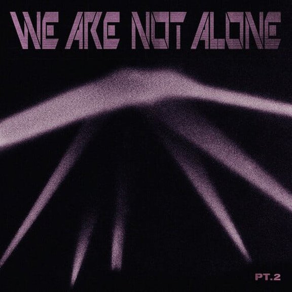 Various Artists - We Are Not Alone - Part 2 / VARIOUS - Music & Performance - Vinyl