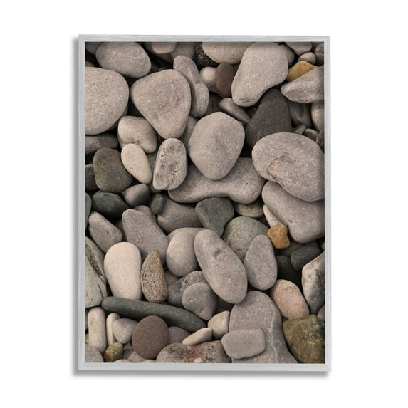 Various Beach Pebbles Composition Coastal Photograph Gray Framed Art Print Wall Art