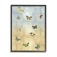 thumbnail image 1 of Various Butterfly Insect Pattern Animals & Insects Graphic Art Black Framed Art Print Wall Art, 1 of 7