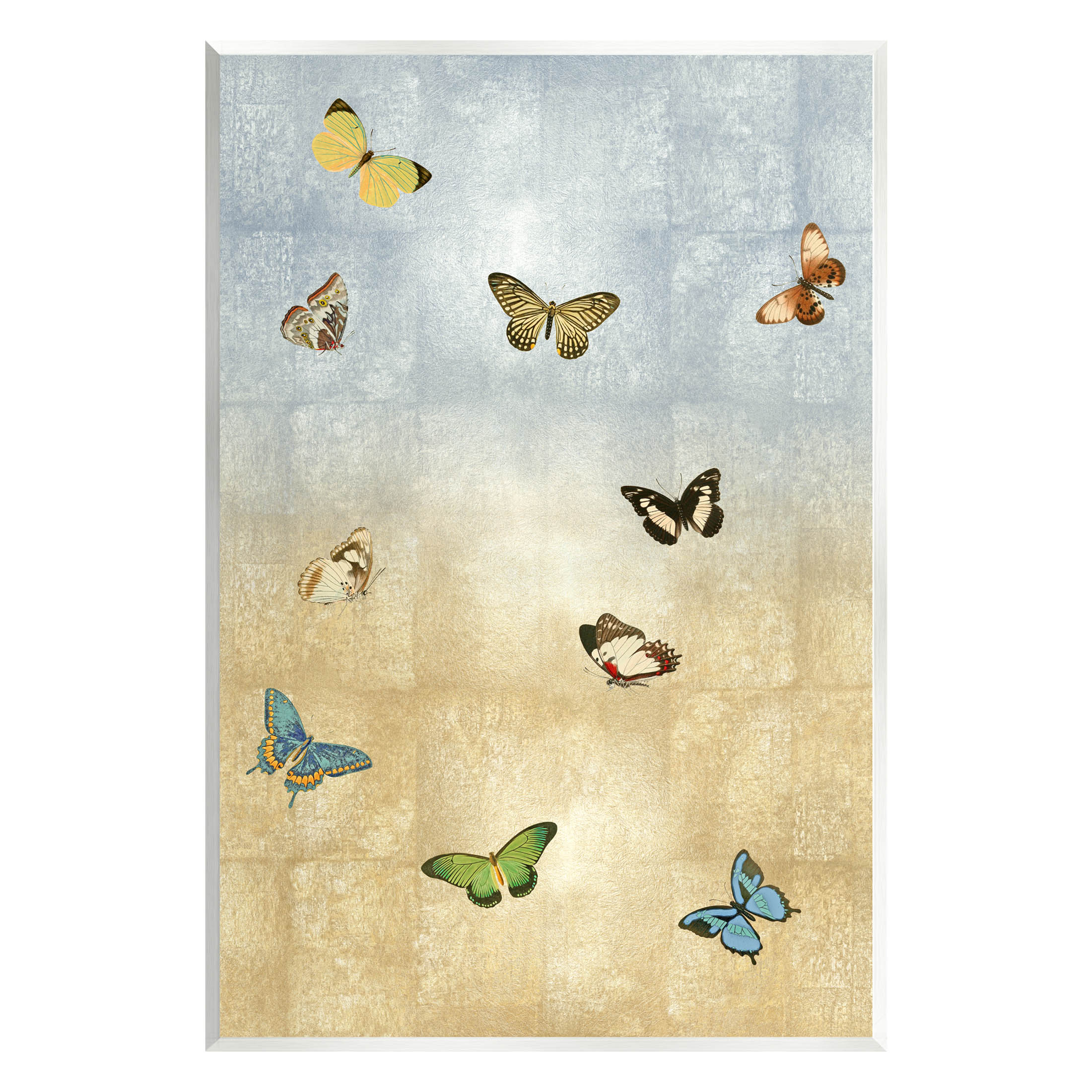 Various Butterfly Insect Pattern Animals & Insects Graphic Art Unframed Art Print Wall Art