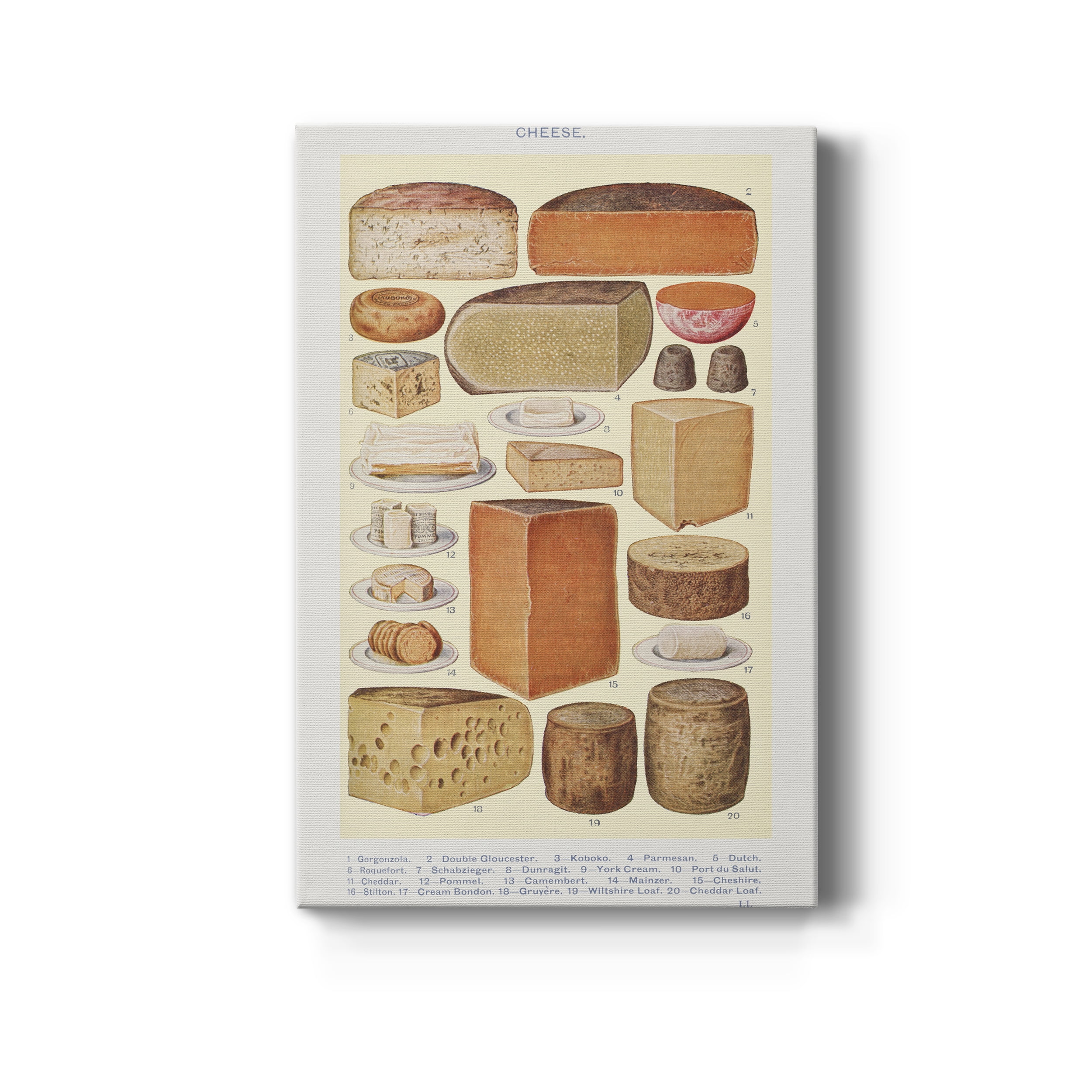 Various Cheeses Premium Gallery Wrapped Canvas - Ready to Hang - 40 x 60