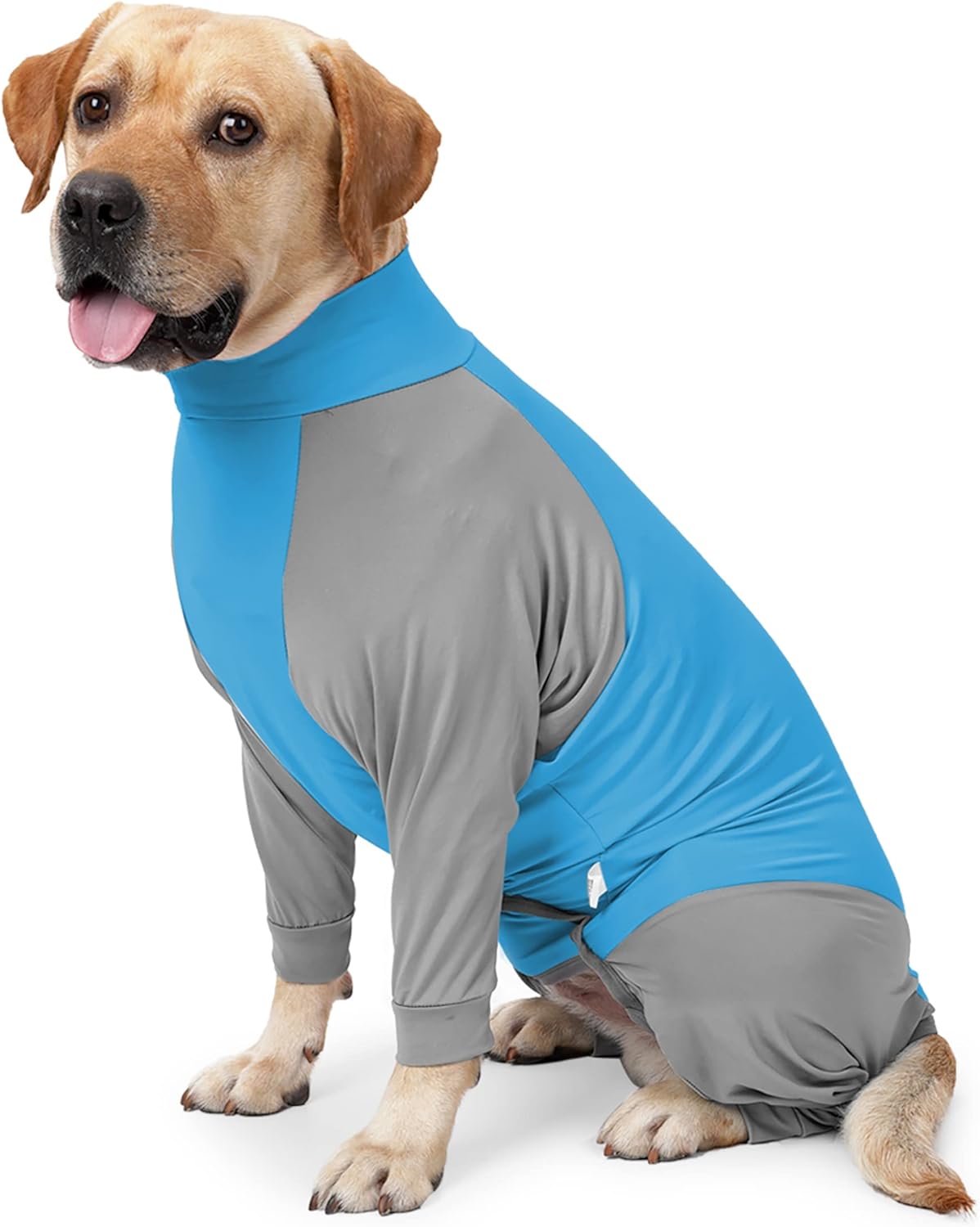 Various Color Dog Onesie Surgery Recovery Suit, Abdominal Wound After