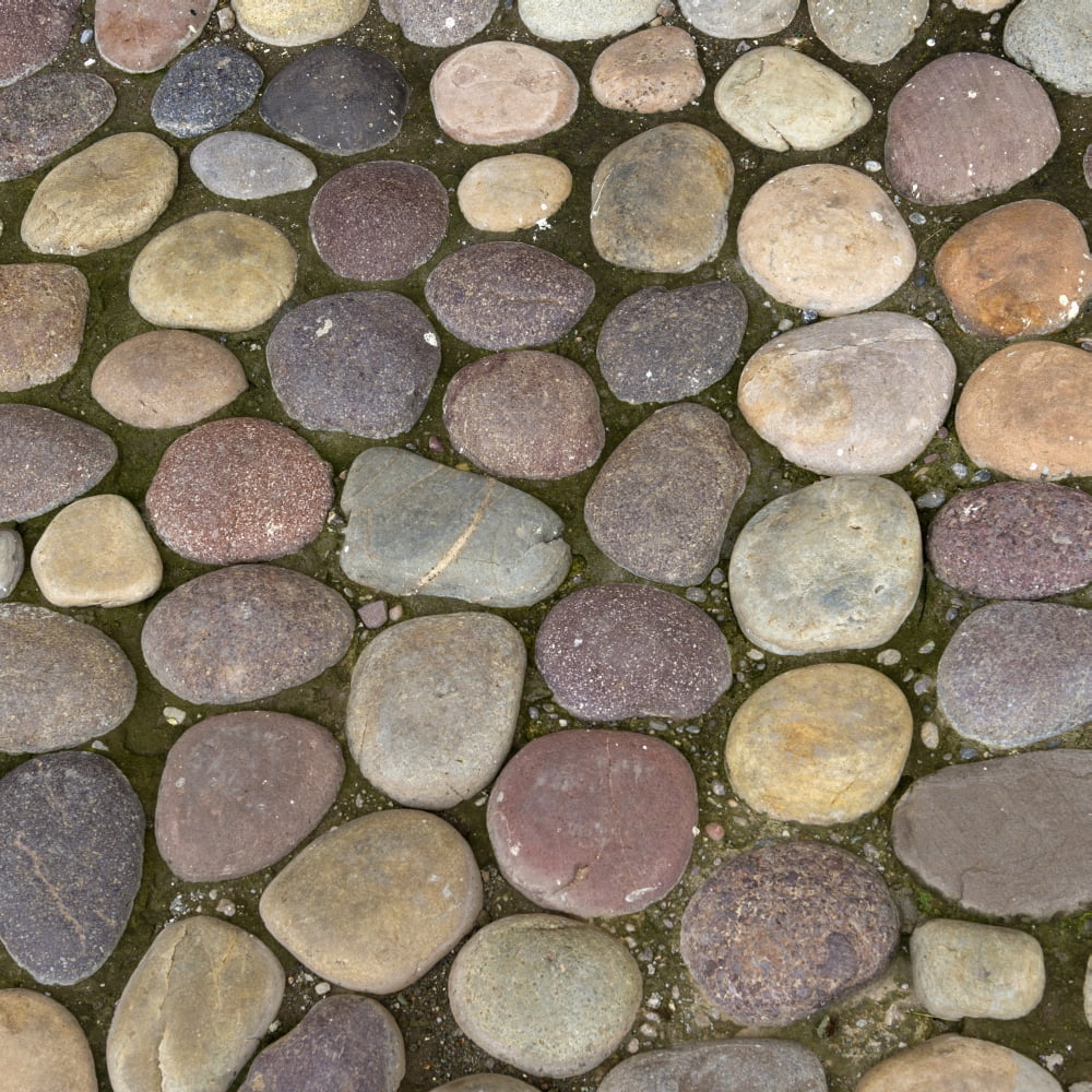 Various Colored Stones On The Ground Sacred Valley Peru Canvas Art - Keith Levit Design Pics (15 x 15)
