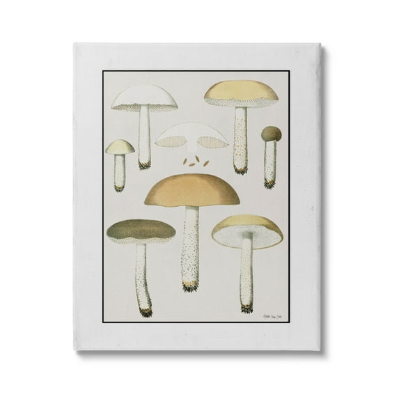 Various Mushrooms Forest Plant Botanical & Floral Graphic Art Gallery Wrapped Canvas Print Wall Art