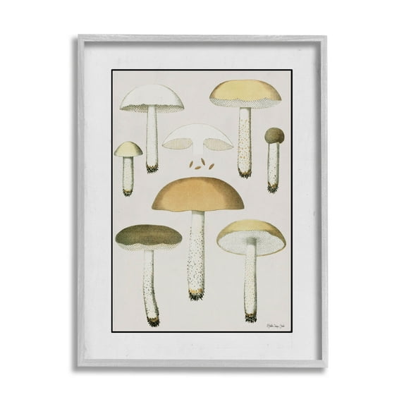 Various Mushrooms Forest Plant Botanical & Floral Graphic Art Gray Framed Art Print Wall Art