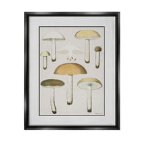 Various Mushrooms Forest Plant Botanical & Floral Graphic Art Jet Black Framed Art Print Wall Art
