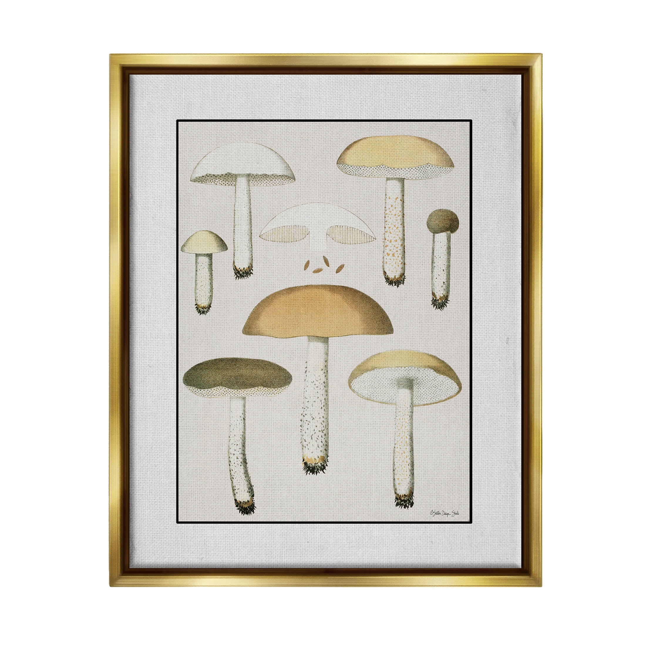 Various Mushrooms Forest Plant Botanical & Floral Graphic Art Metallic Gold Framed Art Print Wall Art