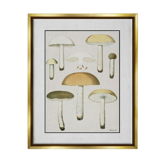Various Mushrooms Forest Plant Botanical & Floral Graphic Art Metallic Gold Framed Art Print Wall Art