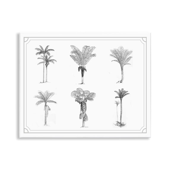 Various Palm Tree Types Vintage Wall Plaque Art, design by Lettered and Lined