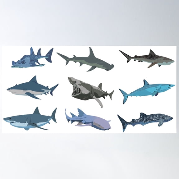 Various Sharks Pattern Poster Wall Art, Modern Wall Decor, 12x18 UNFRAMED