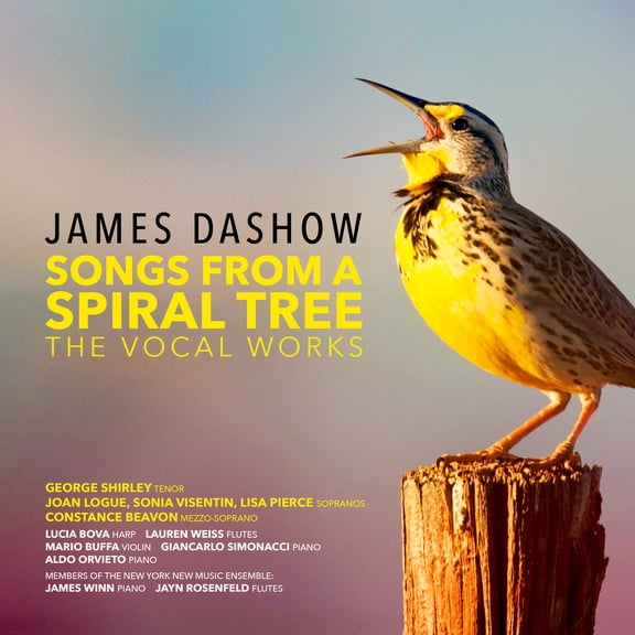 Various - Songs from a Spiral Tree - Music & Performance - DVD