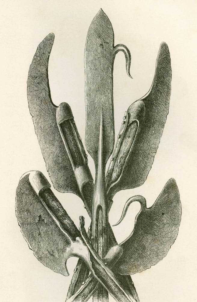 Various Types Of Lochaber Axes From The British Army Its Origins Progress And Equipment Published 1868 Canvas Art - Ken Welsh Design Pics (24 x 38)