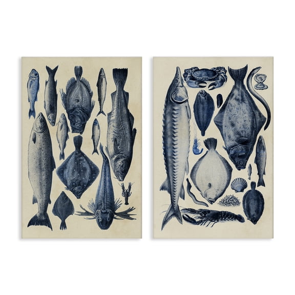 Stupell Industries Various Vintage Blue Fish Chart 2 Piece Canvas Wall Art Set, design by Alicia Longley, 24 x 16