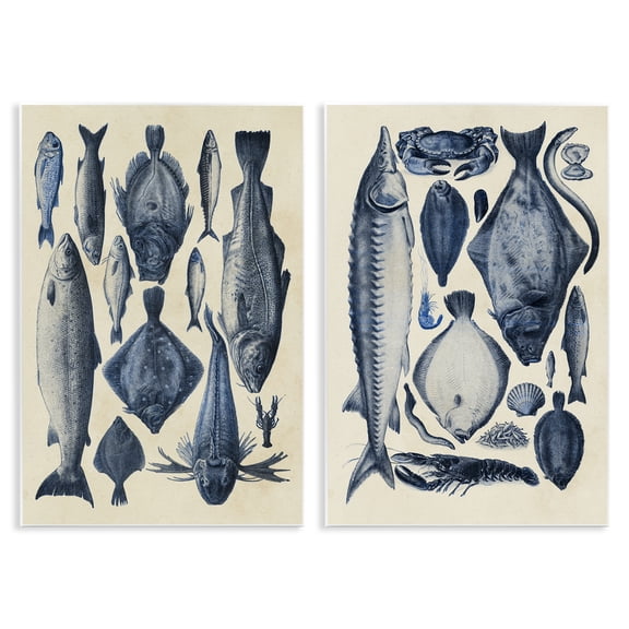 Stupell Industries Various Vintage Blue Fish Chart 2 Piece Wall Plaque Art Set, design by Alicia Longley, 19 x 13
