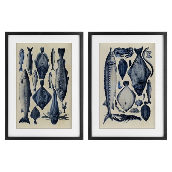Stupell Industries Various Vintage Blue Fish Chart 2 Piece Black Framed Print Under Glass Set, design by Alicia Longley, 20 x 14