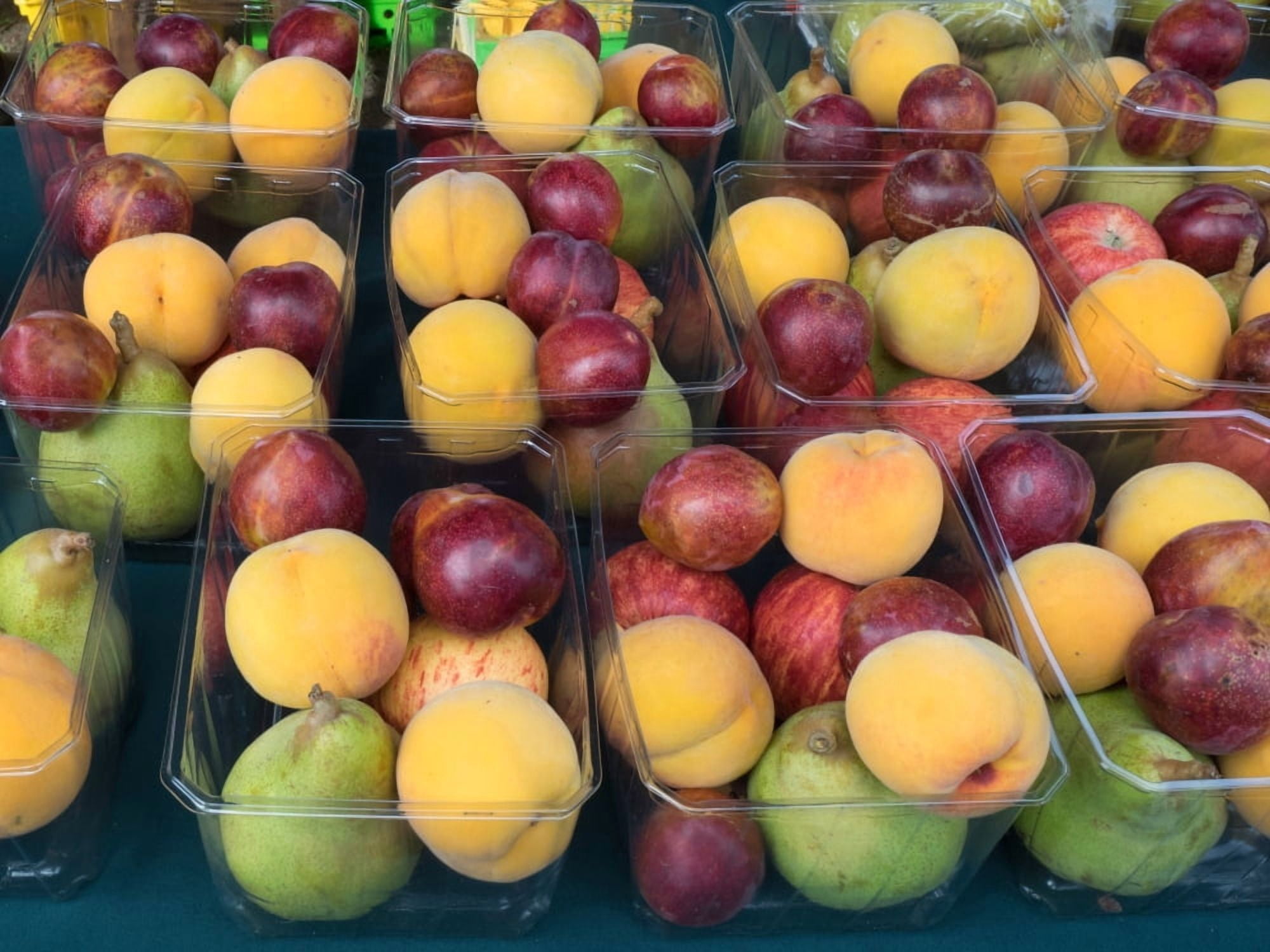 Various fruits for sale at street market Hawkes Bay Hastings North Island New Zealand Canvas Art - Panoramic Images (24 x 36)