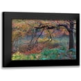 thumbnail image 1 of Varona, Verne 18x13 Black Modern Framed Museum Art Print Titled - Fall Retreat, 1 of 5