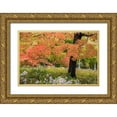 thumbnail image 1 of Varona, Verne 24x17 Gold Ornate Wood Framed with Double Matting Museum Art Print Titled - Autumn Splendor, 1 of 4
