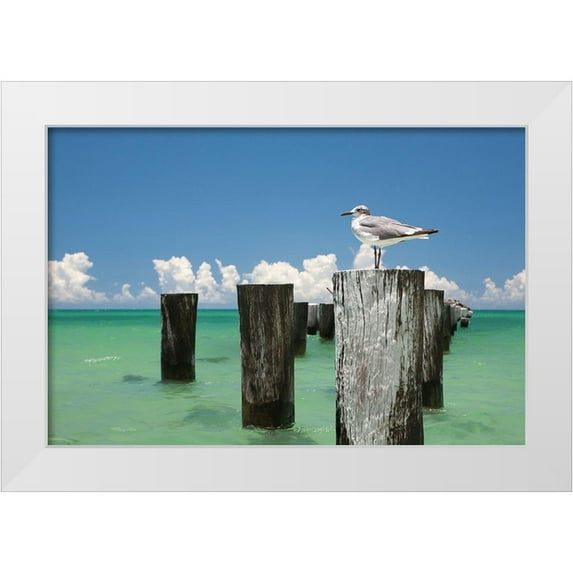 Varona, Verne 24x17 White Modern Wood Framed Museum Art Print Titled - Welcome to Naples, Florida
