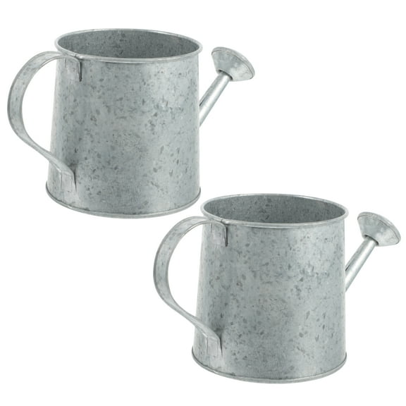 Vase Watering Flower Bucket Metal Can Jug Pitcher Rustic Farmhouse Pot Planter Iron Galvanized Vintage Tin Plant Vases