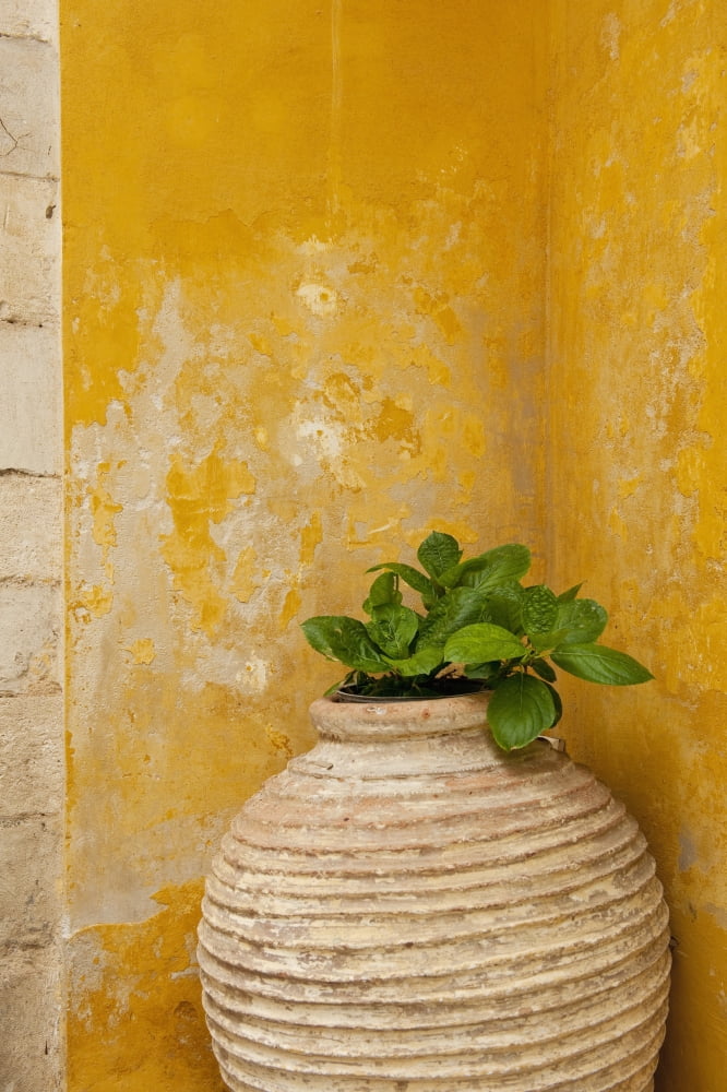 Vase holding a plant against a yellow wall Chania Crete Greece Canvas Art - Ian Cumming Design Pics (12 x 19)