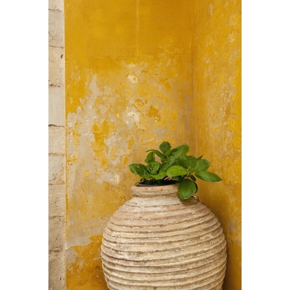 Vase holding a plant against a yellow wall; Chania Crete Greece Poster Print
