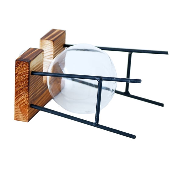 FELTECHELECTR Glass Planter Bulb Vase Transparent 1Pack 4.3x3.9x2.4In