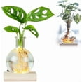 thumbnail image 1 of Vases, LED Hydroponic Vase Desktop Hydroponic Plants Terrarium Round Glass Planter With Waterproof Lighted Wooden Base, 1 of 8