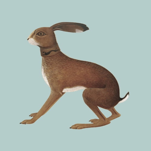 Vashti Bunyan - Lookaftering - Expanded - Music & Performance - CD