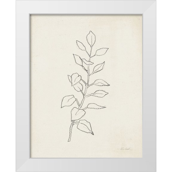Vassileva, Silvia 12x14 White Modern Wood Framed Museum Art Print Titled - August Branch I