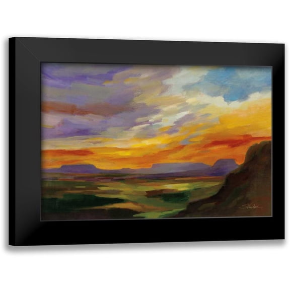 Vassileva, Silvia 14x11 Black Modern Framed Museum Art Print Titled - Sonoran Desert Sunset