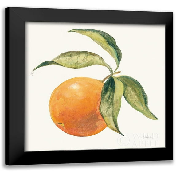 Vassileva, Silvia 15x15 Black Modern Framed Museum Art Print Titled - Le Orange on Cream